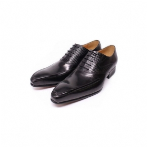 Chaussures Formelles Pour Hommes Oxford À Bout Pointu Exotique