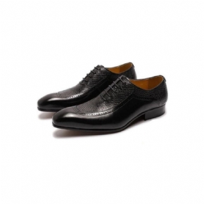 Chaussures Formelles Pour Hommes Oxford À Bout Pointu Exquises