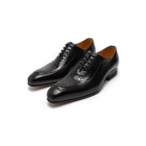 Chaussures Formelles Pour Hommes Oxford À Bout Pointu Exquises