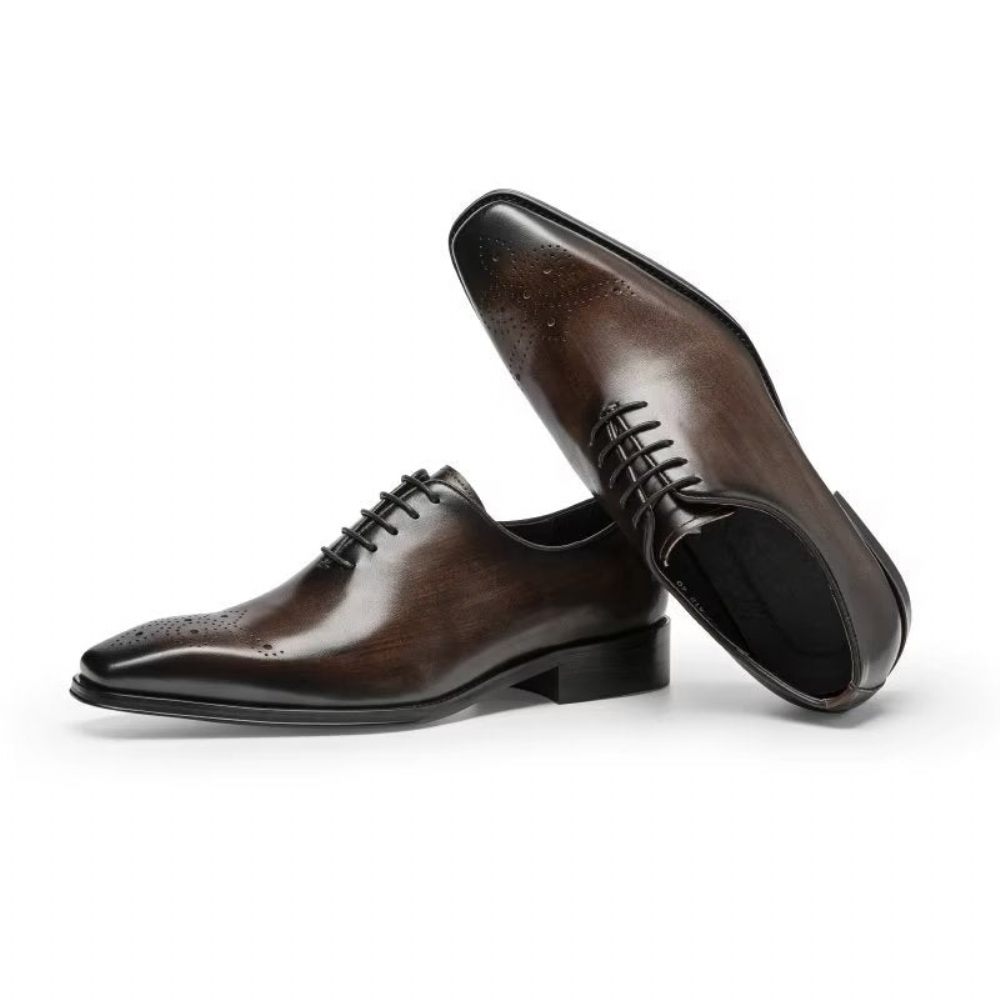 Chaussures Formelles Pour Hommes Oxford Élégantes Cuir Vache Luxe - Café