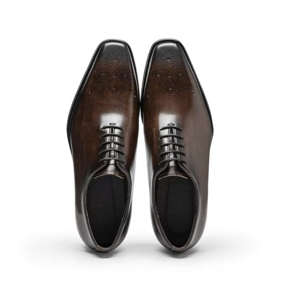 Chaussures Formelles Pour Hommes Oxford Élégantes Cuir Vache Luxe - Café