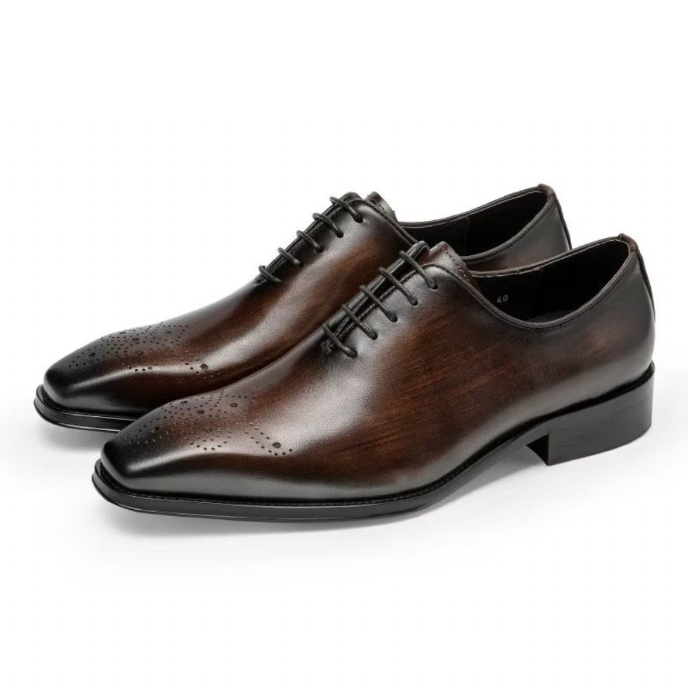 Chaussures Formelles Pour Hommes Oxford Élégantes Cuir Vache Luxe - Café