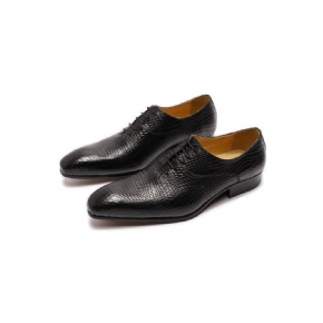 Chaussures Formelles Pour Hommes Oxford Exotiques À Bout Pointu