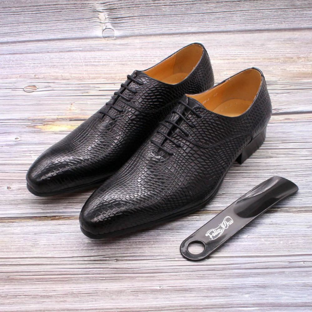 Chaussures Formelles Pour Hommes Oxford Exotiques À Bout Pointu - Noir