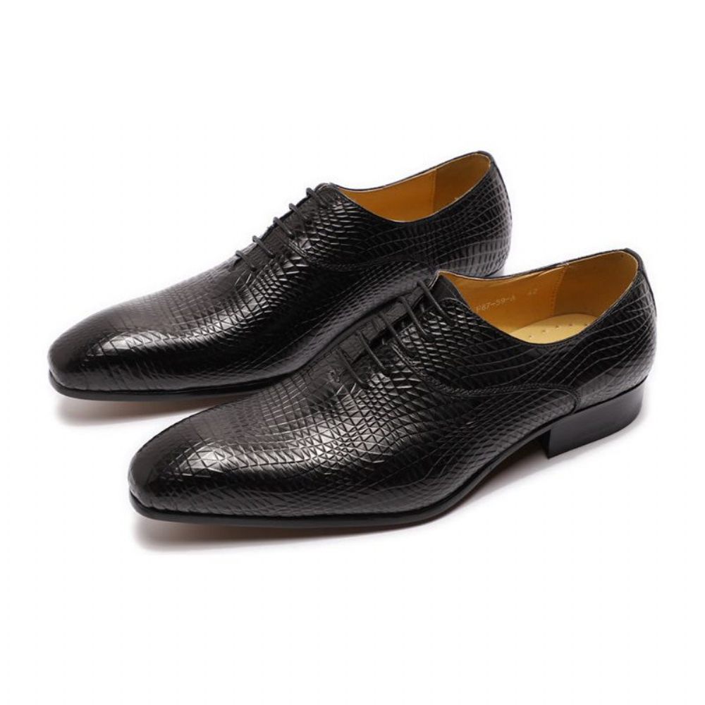 Chaussures Formelles Pour Hommes Oxford Exotiques À Bout Pointu - Noir