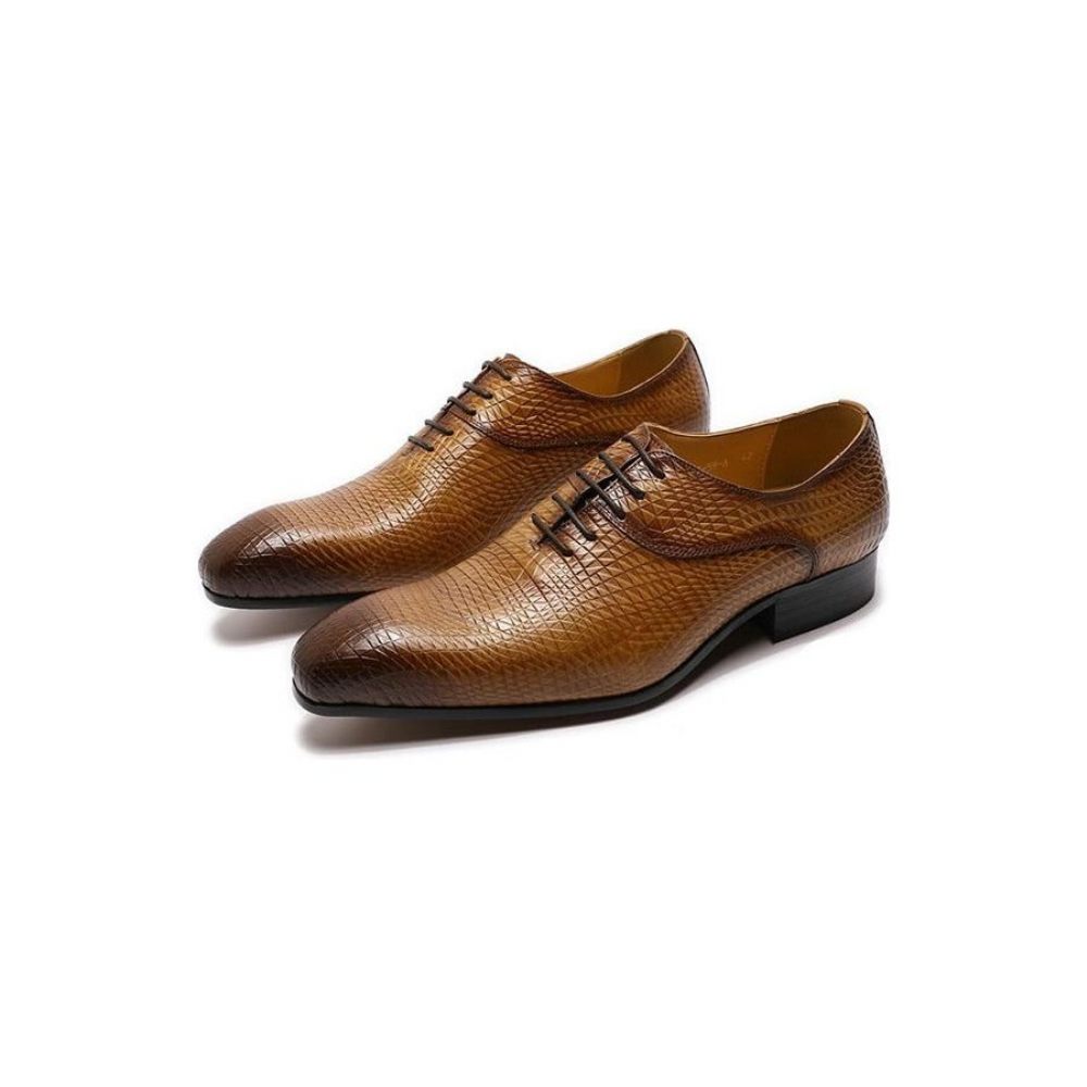 Chaussures Formelles Pour Hommes Oxford Exotiques À Bout Pointu - Café