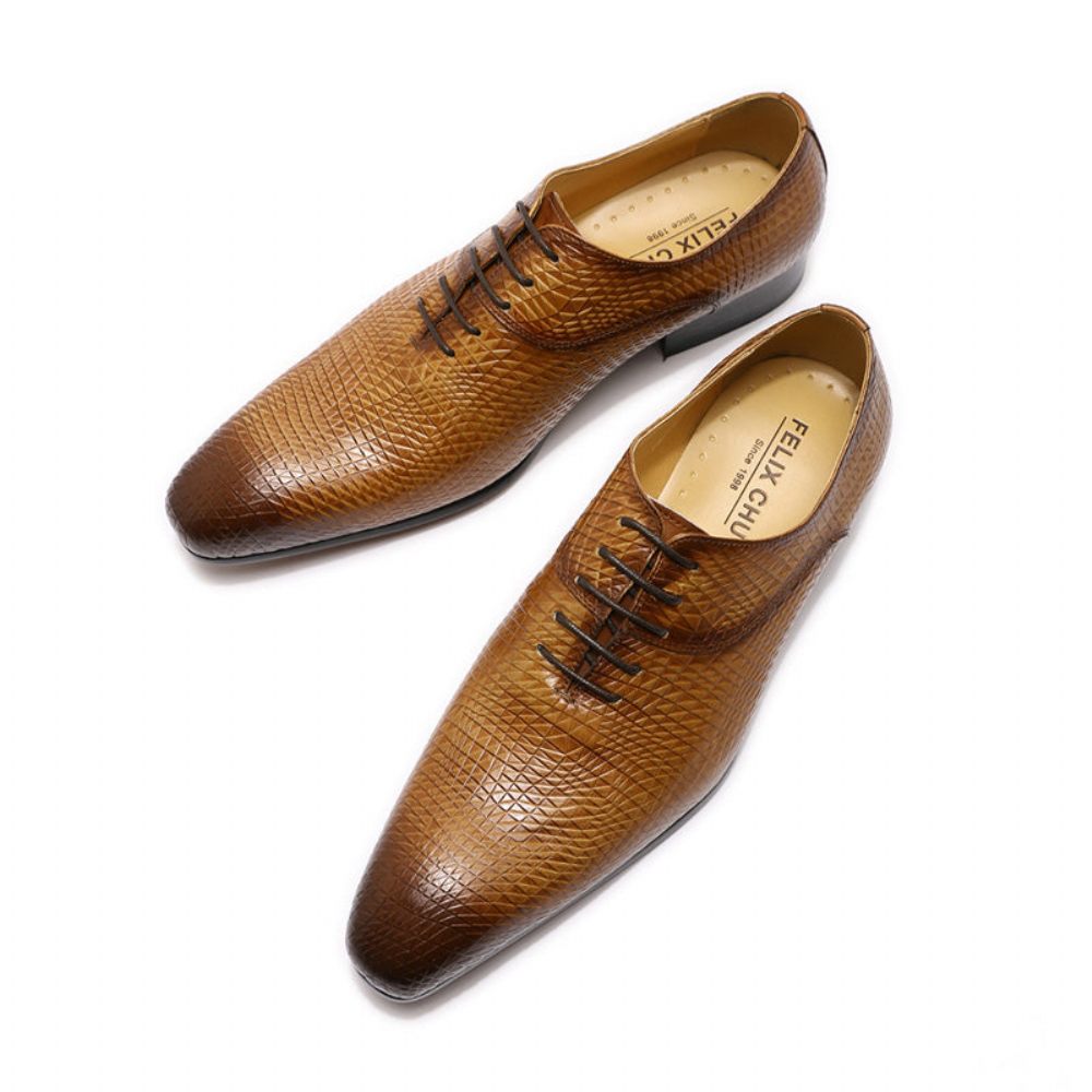 Chaussures Formelles Pour Hommes Oxford Exotiques À Bout Pointu - Café