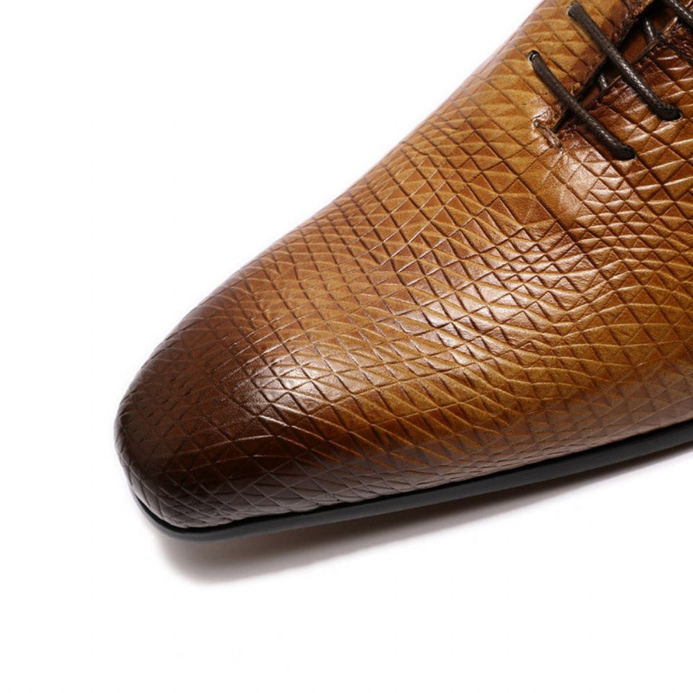 Chaussures Formelles Pour Hommes Oxford Exotiques À Bout Pointu - Café