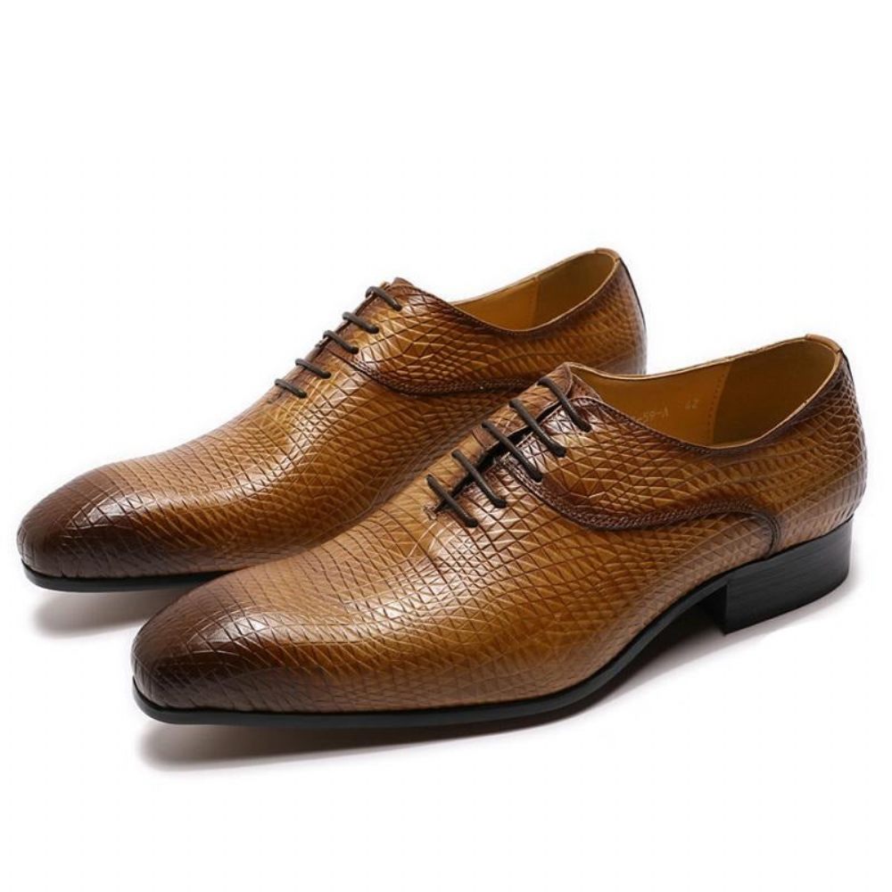 Chaussures Formelles Pour Hommes Oxford Exotiques À Bout Pointu - Café