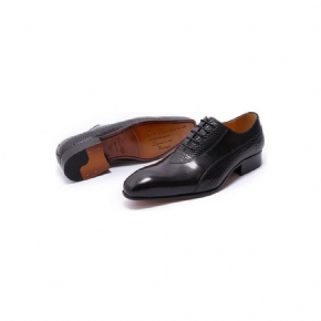 Chaussures Formelles Pour Hommes Oxford Exotiques À Lacets