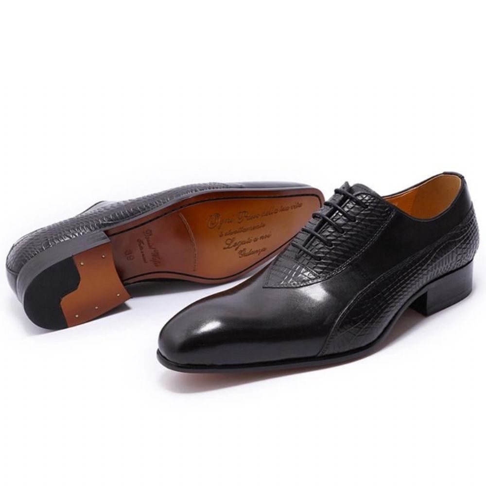 Chaussures Formelles Pour Hommes Oxford Exotiques À Lacets - Noir