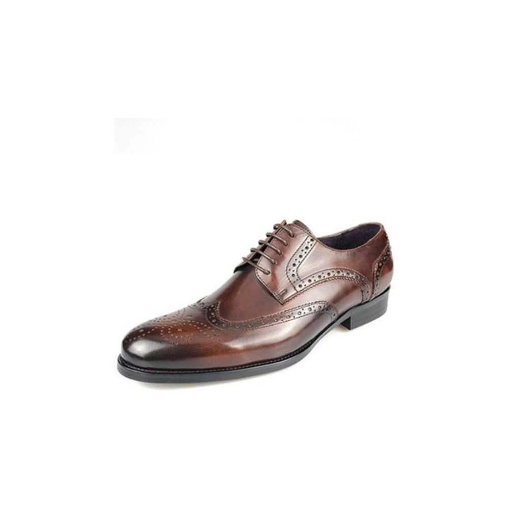 Chaussures Formelles Pour Hommes Oxford À Lacets Cuir Vache Exotique - Café