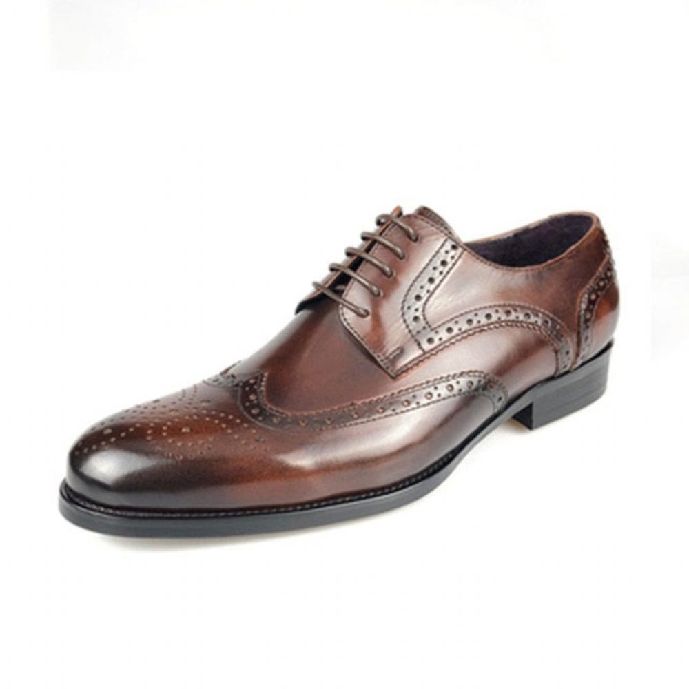 Chaussures Formelles Pour Hommes Oxford À Lacets Cuir Vache Exotique - Café