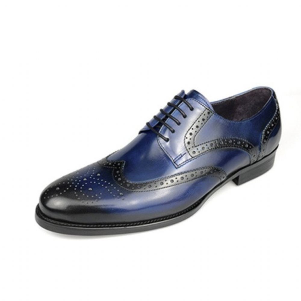 Chaussures Formelles Pour Hommes Oxford À Lacets Cuir Vache Exotique - Bleu