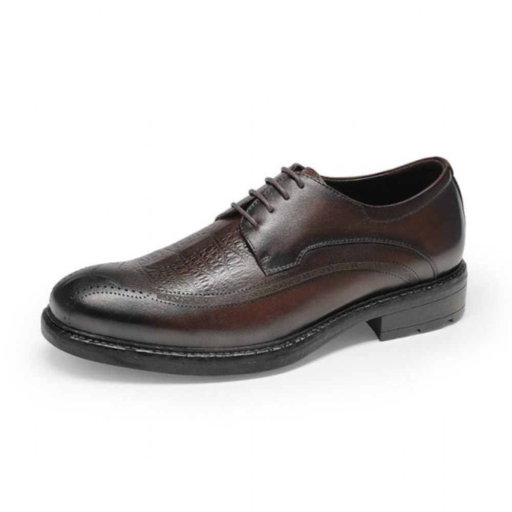 Chaussures Formelles Pour Hommes Oxford À Lacets Motif Exotique - Café