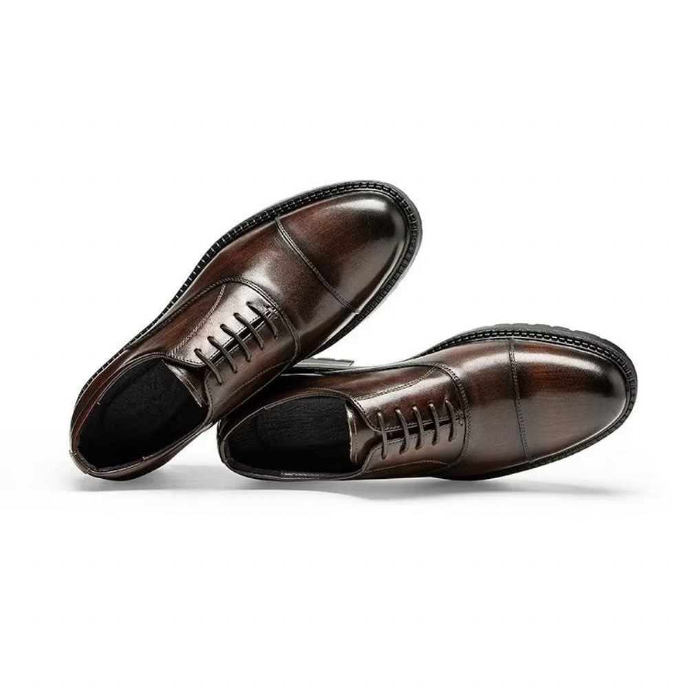 Chaussures Formelles Pour Hommes Oxford À Motif Exotique - Café