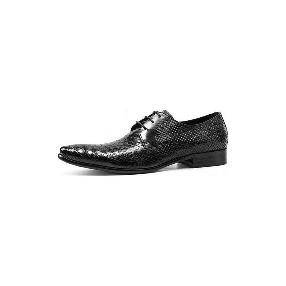 Chaussures Formelles Pour Hommes Oxford Rétro Exotiques À Lacets Avec Bout D'aile