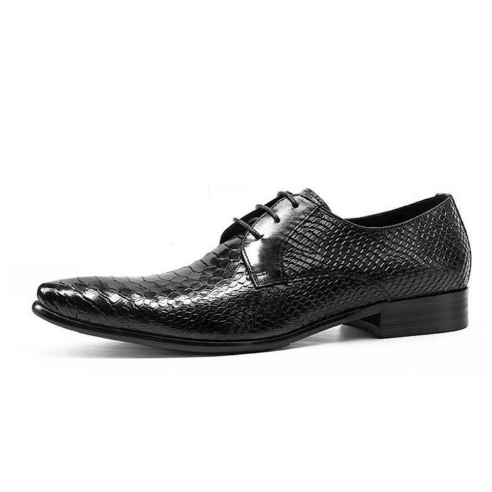 Chaussures Formelles Pour Hommes Oxford Rétro Exotiques À Lacets Avec Bout D'aile - Noir