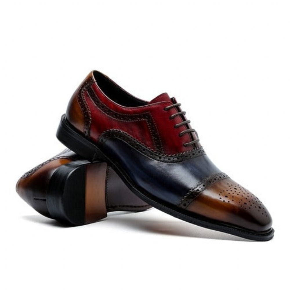 Chaussures Formelles Pour Hommes Oxfords À Lacets Cuir Bout D'aile - Exotique