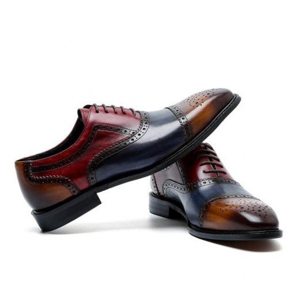 Chaussures Formelles Pour Hommes Oxfords À Lacets Cuir Bout D'aile - Exotique