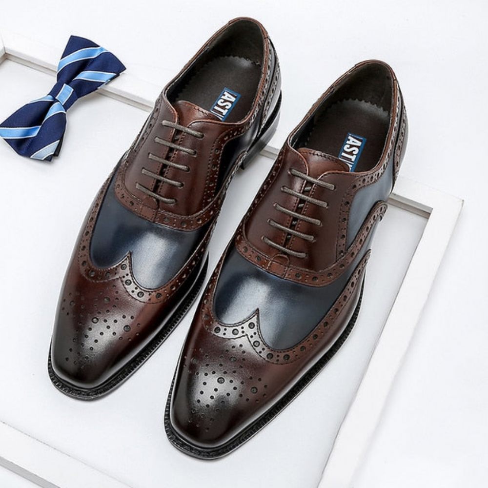 Chaussures Formelles Pour Hommes Oxfords À Lacets Cuir Bout D'aile - Bleu