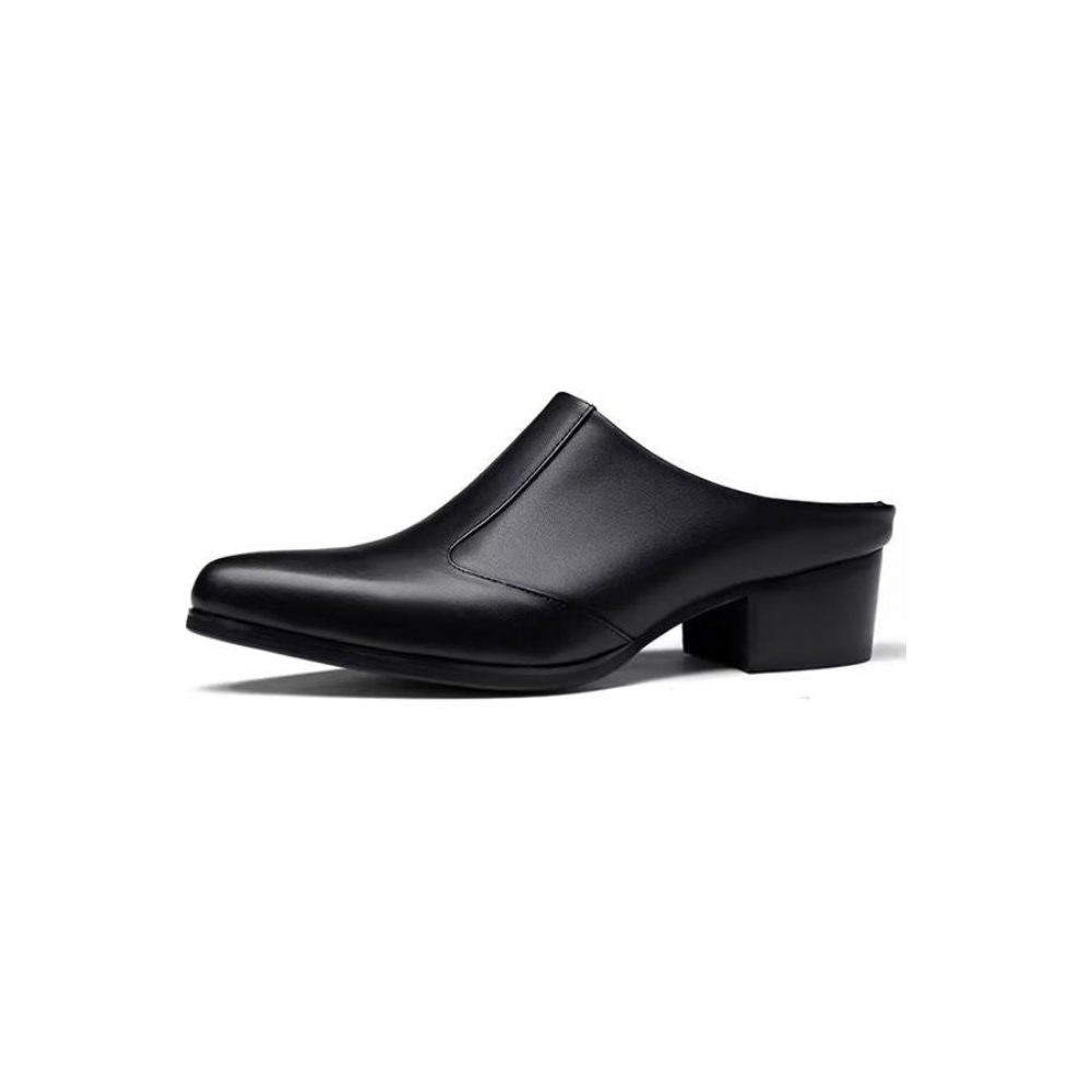 Chaussures Formelles Pour Hommes Pantoufles D'affaires Élégantes Cuir À Bout Pointu Luxe - Noir 1