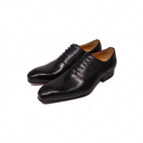 Chaussures Formelles Pour Hommes Peau Serpent Élégance Habillées Oxford À Bout Pointu Faites La Main