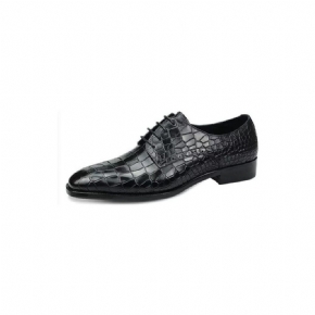 Chaussures Formelles Pour Hommes Richelieu Cuir Crocodile Élégantes Luxe