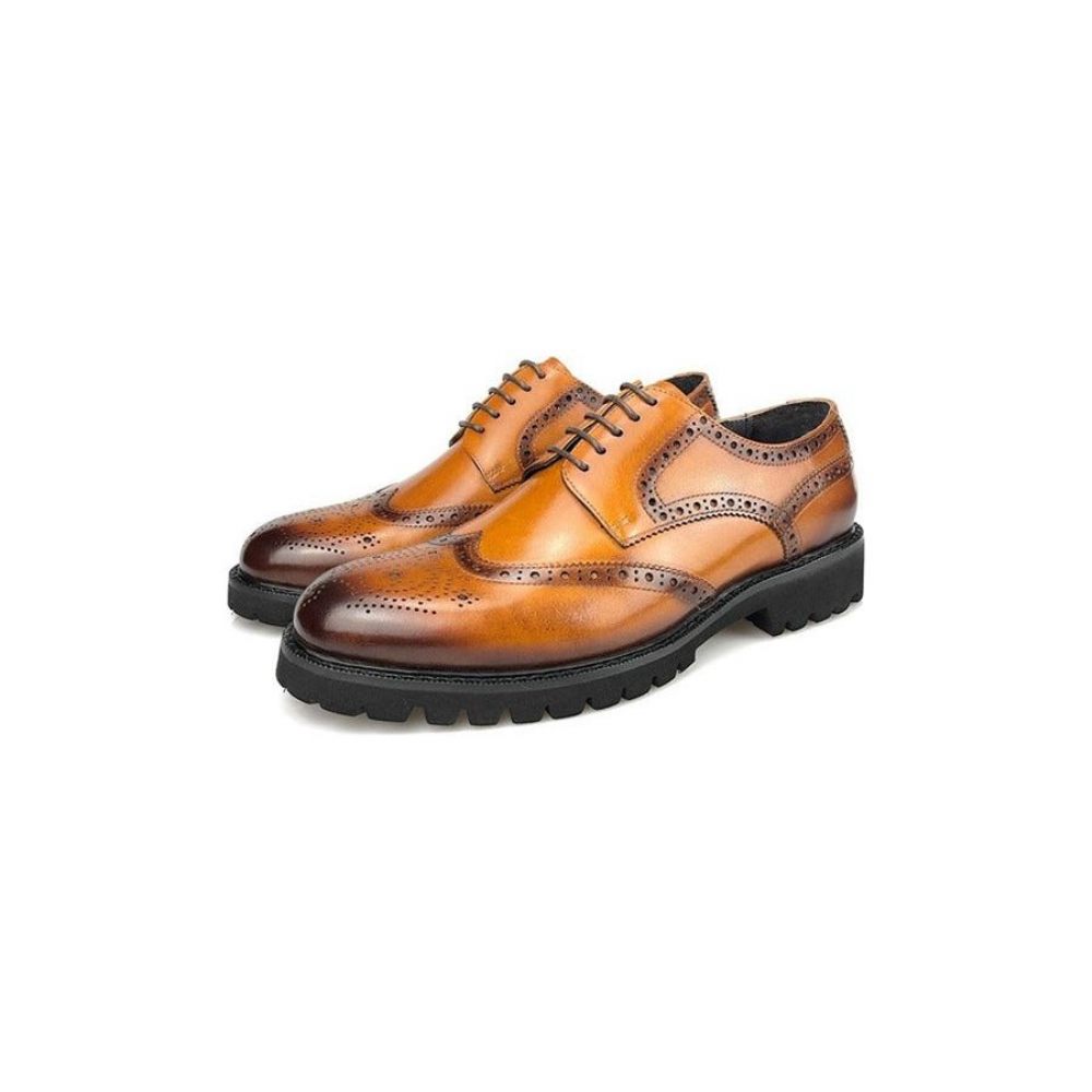 Chaussures Formelles Pour Hommes Richelieu Cuir À Lacets Exotiques - Café