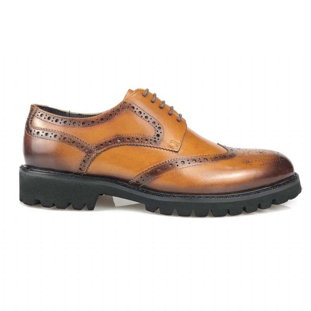 Chaussures Formelles Pour Hommes Richelieu Cuir À Lacets Exotiques - Café