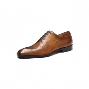 Chaussures Formelles Pour Hommes Richelieu Cuir Oxford