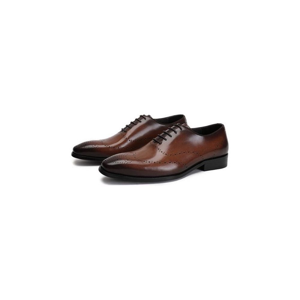 Chaussures Formelles Pour Hommes Richelieu Cuir Vache Exotique - Café