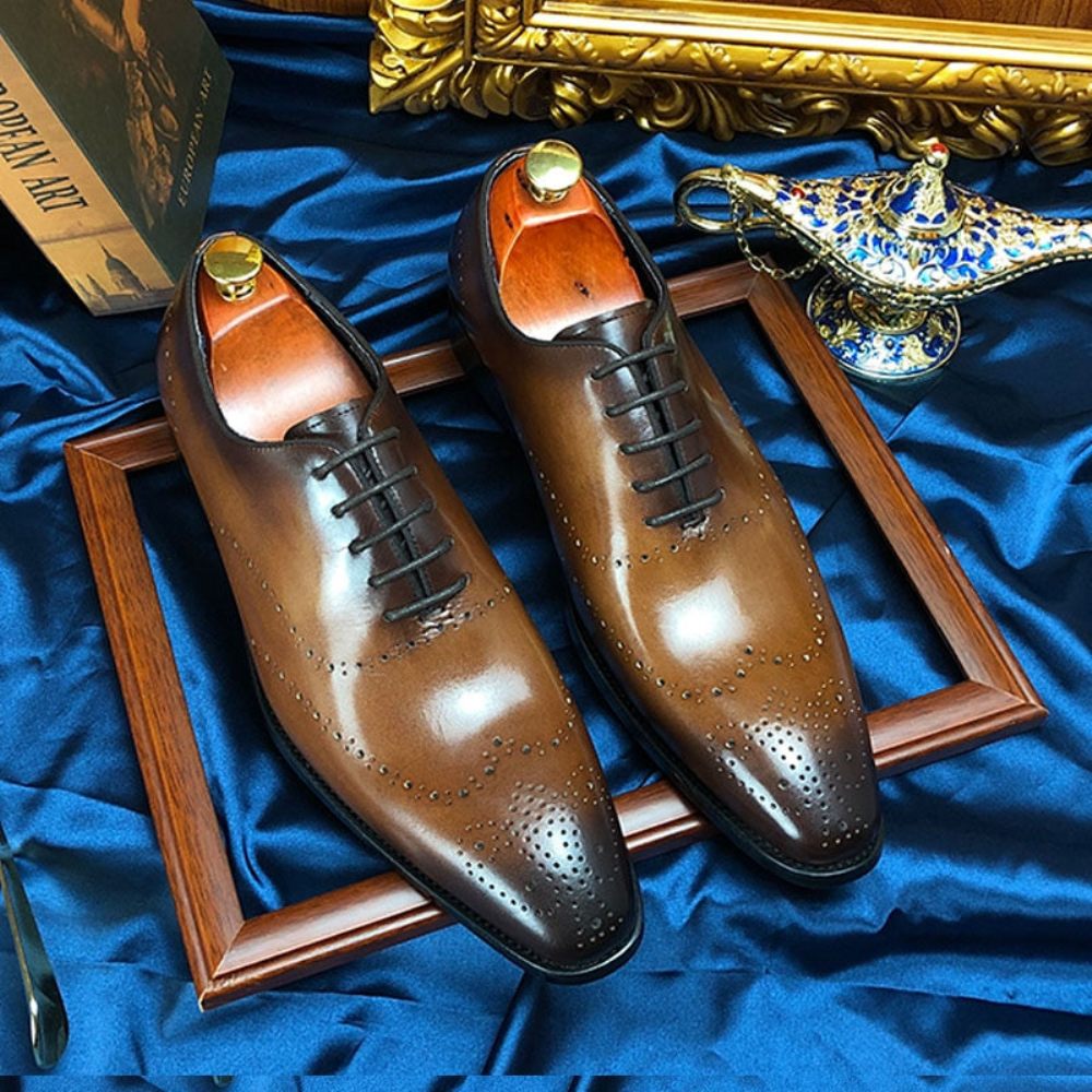 Chaussures Formelles Pour Hommes Richelieu Cuir Vache Exotique - Café