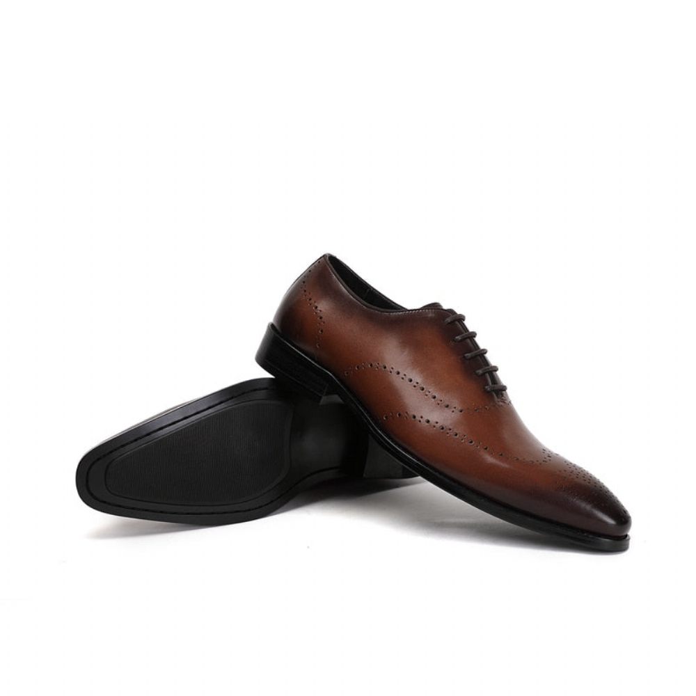 Chaussures Formelles Pour Hommes Richelieu Cuir Vache Exotique - Café