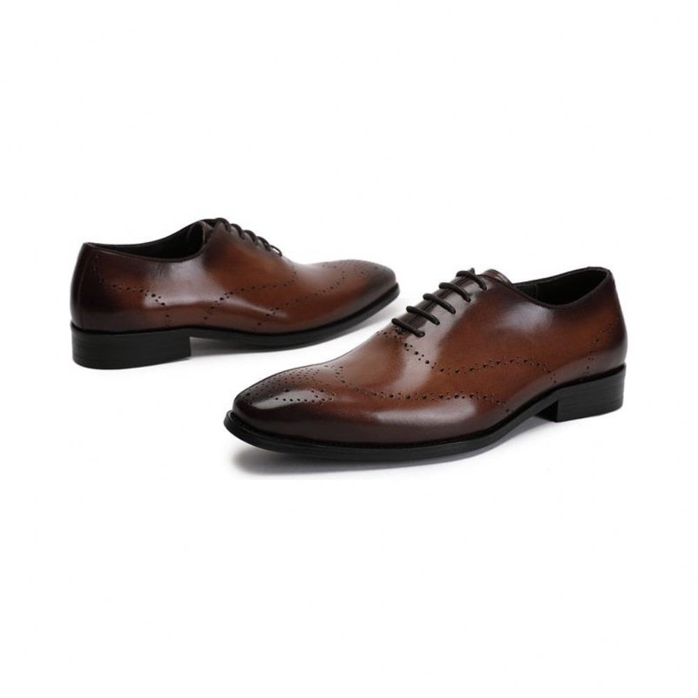 Chaussures Formelles Pour Hommes Richelieu Cuir Vache Exotique - Café