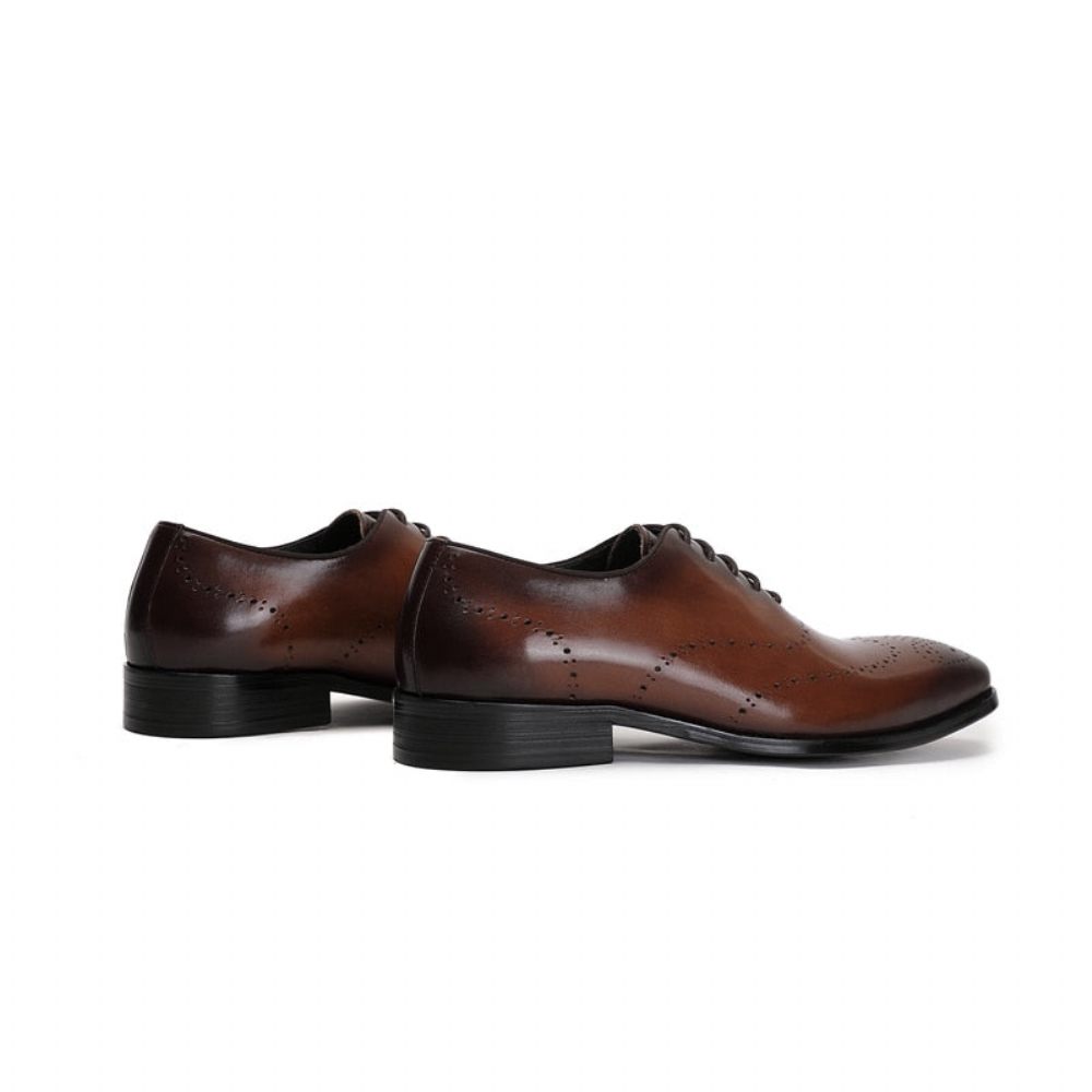 Chaussures Formelles Pour Hommes Richelieu Cuir Vache Exotique - Café