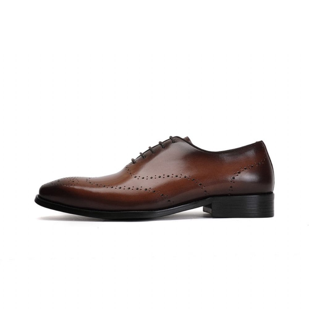 Chaussures Formelles Pour Hommes Richelieu Cuir Vache Exotique - Café