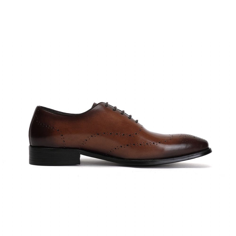 Chaussures Formelles Pour Hommes Richelieu Cuir Vache Exotique - Café