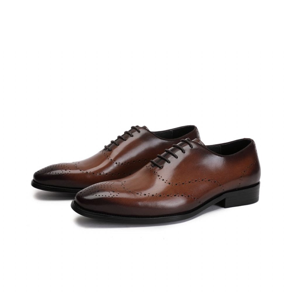 Chaussures Formelles Pour Hommes Richelieu Cuir Vache Exotique - Café