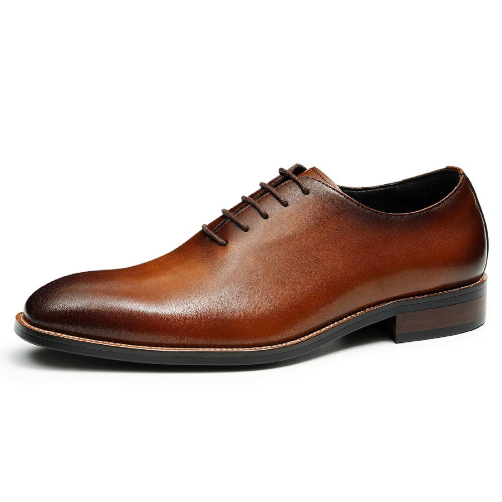 Chaussures Formelles Pour Hommes Richelieu Mariage À Boucle Marron Exotique - Marron