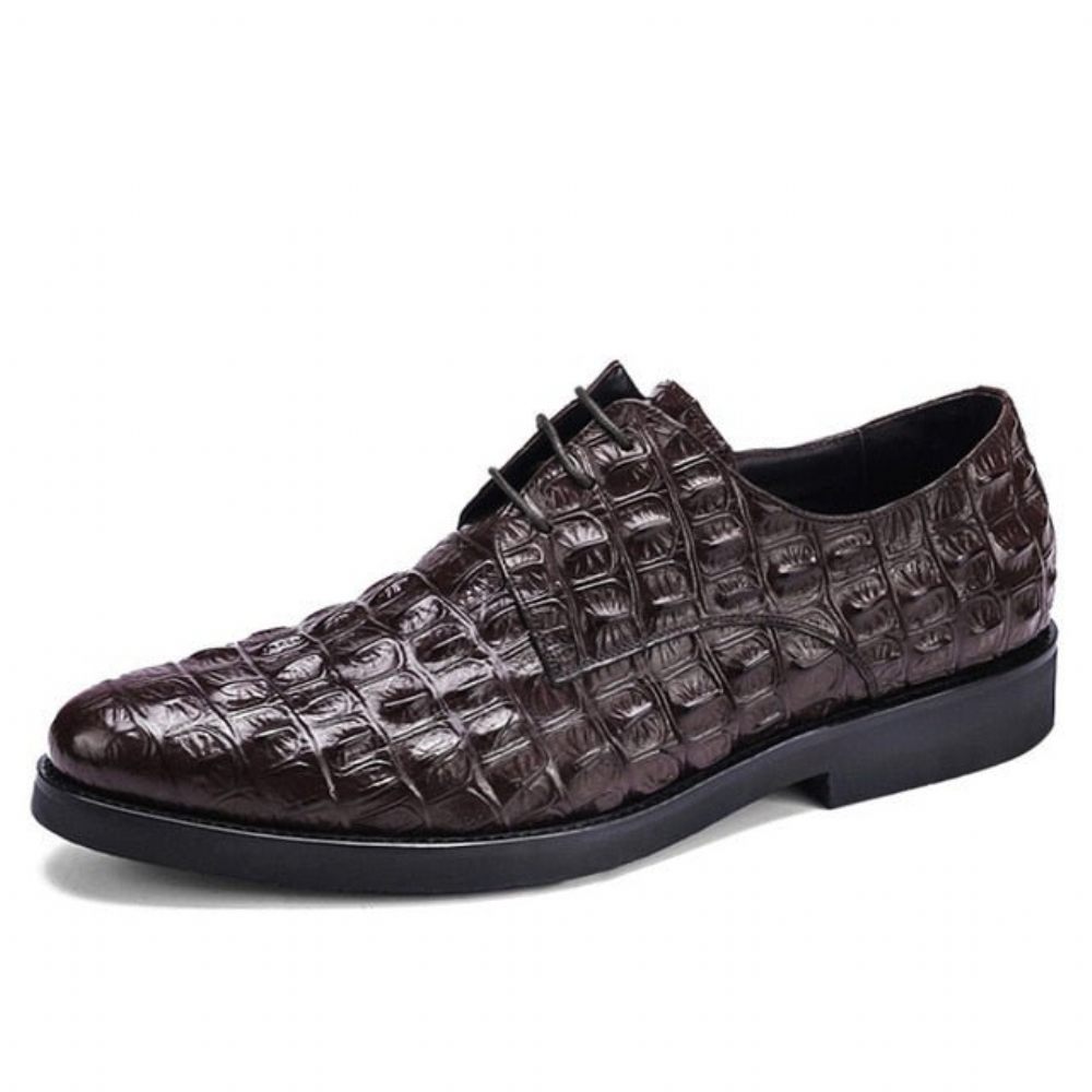 Chaussures Formelles Pour Hommes Richelieus Oxford Cuir Gaufré Luxe - Café