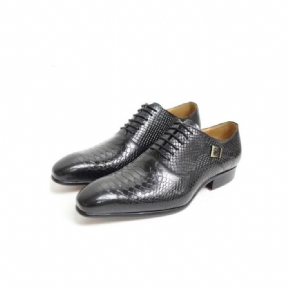 Chaussures Formelles Pour Hommes Serpent Exotique Habillées Oxford À Bout Pointu