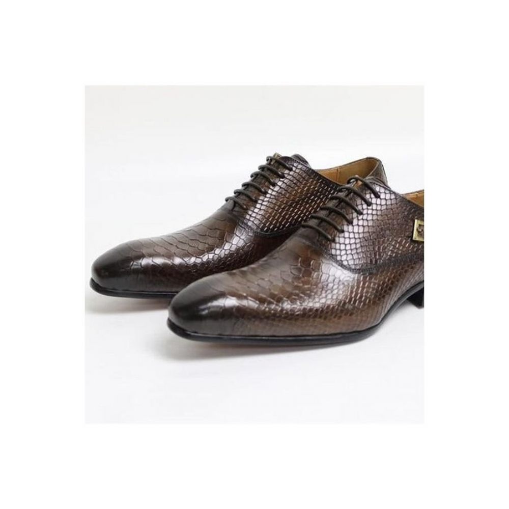 Chaussures Formelles Pour Hommes Serpent Exotique Habillées Oxford À Bout Pointu - Café