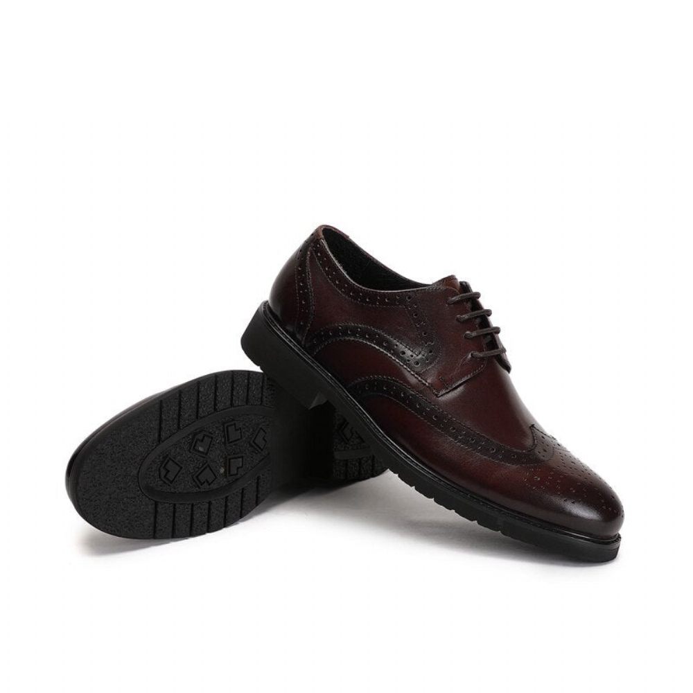 Chaussures Formelles Pour Hommes Wingtip Luxe Exotique Bout Pointu Oxford Richelieu - Café