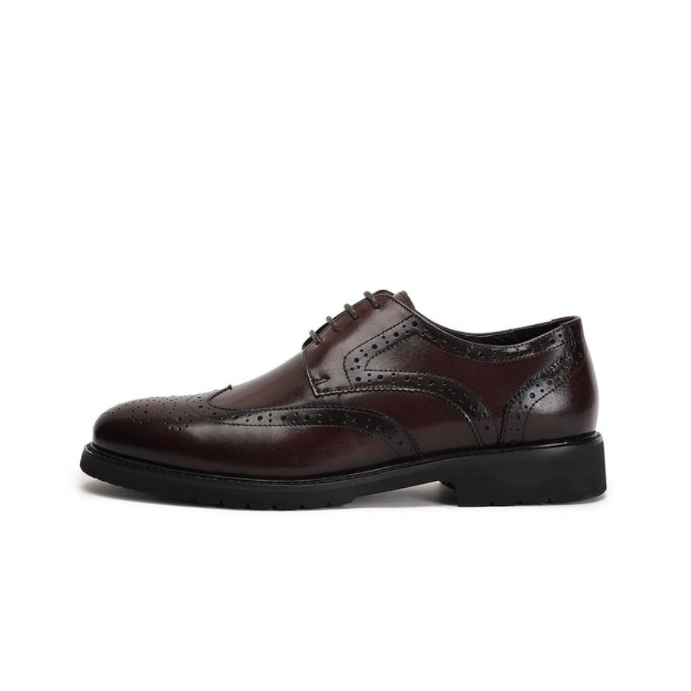 Chaussures Formelles Pour Hommes Wingtip Luxe Exotique Bout Pointu Oxford Richelieu - Café