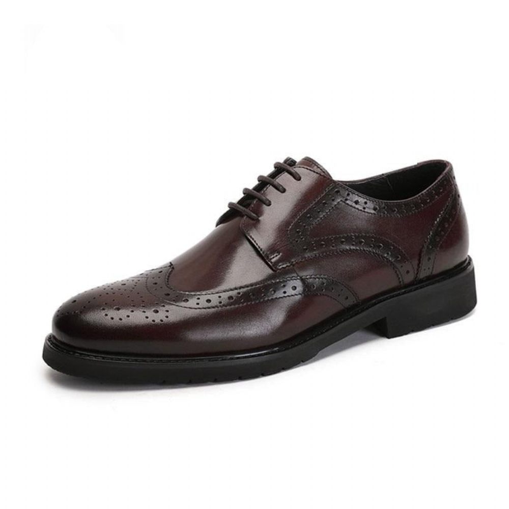 Chaussures Formelles Pour Hommes Wingtip Luxe Exotique Bout Pointu Oxford Richelieu - Café