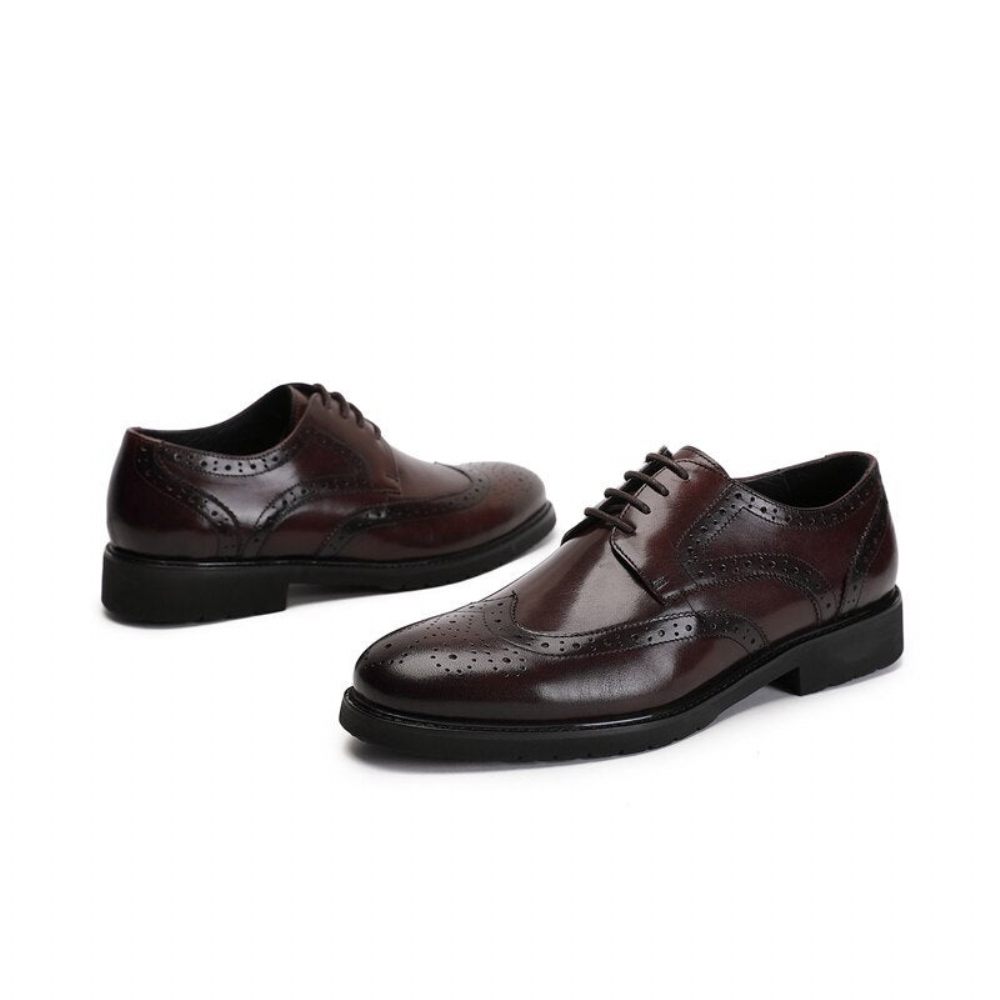 Chaussures Formelles Pour Hommes Wingtip Luxe Exotique Bout Pointu Oxford Richelieu - Café