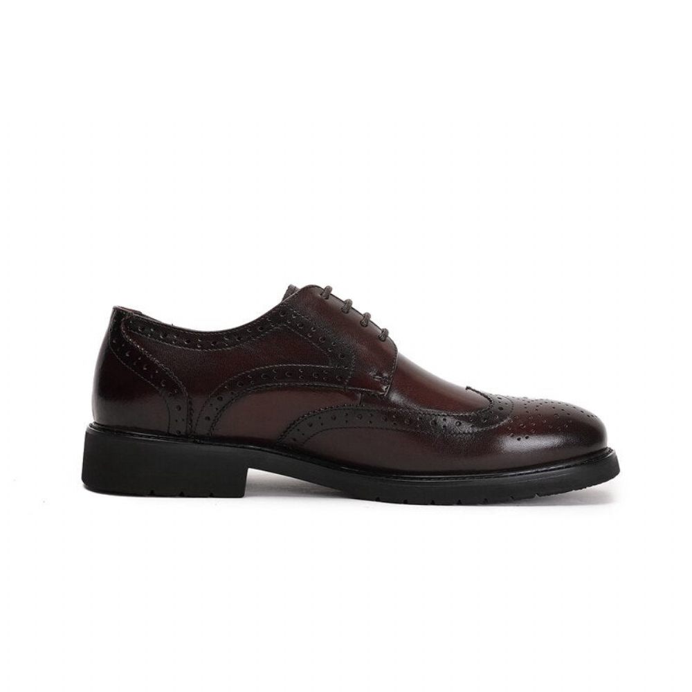 Chaussures Formelles Pour Hommes Wingtip Luxe Exotique Bout Pointu Oxford Richelieu - Café