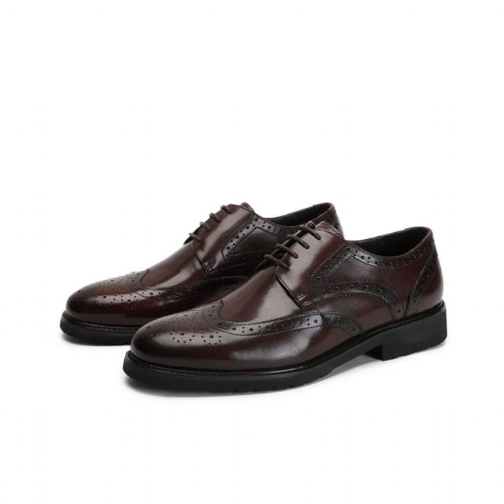 Chaussures Formelles Pour Hommes Wingtip Luxe Exotique Bout Pointu Oxford Richelieu - Café