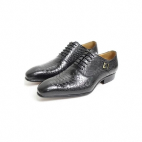 Chaussures Habillées Cuir À Bout Pointu Pour Hommes Oxford Lacets